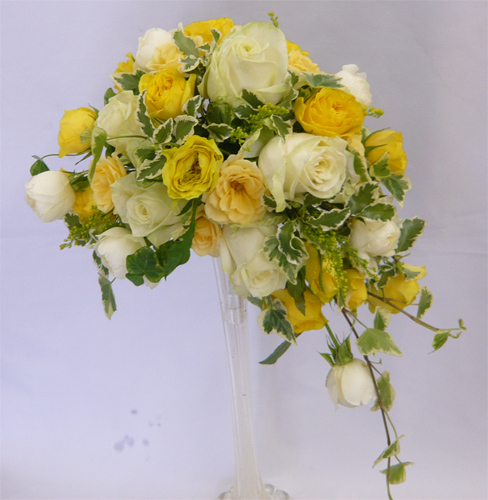 W&Y���[�Y�N���b�Z���g�u�[�P