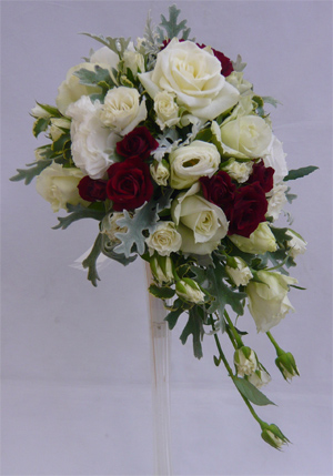 �u�[�P����