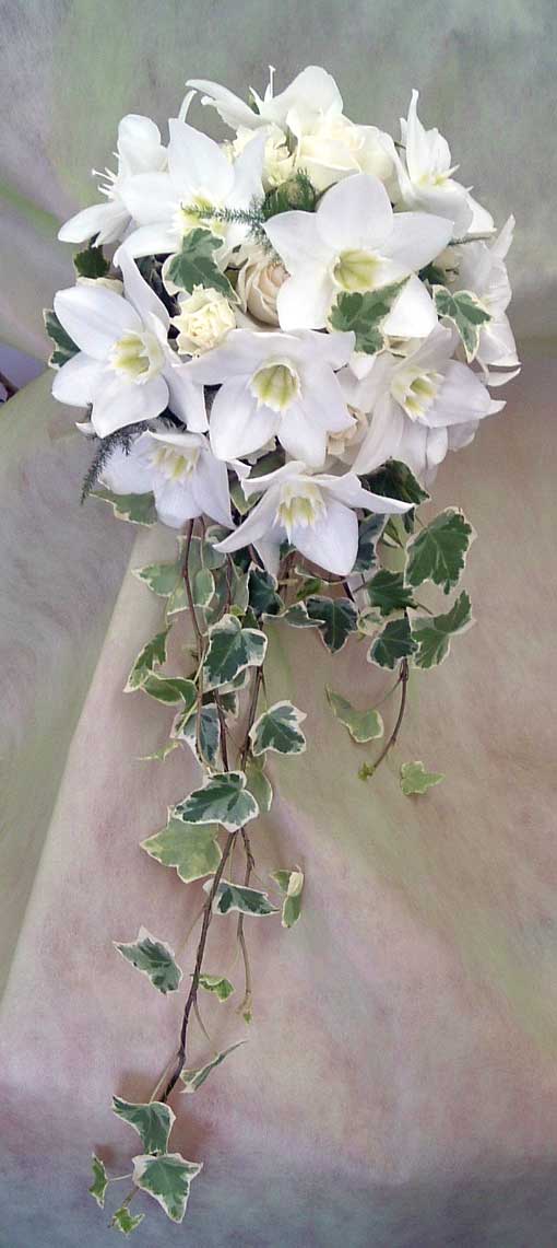 �E�G�f�B���O�u�[�P/���[�`�����X�L���X�P�[�h