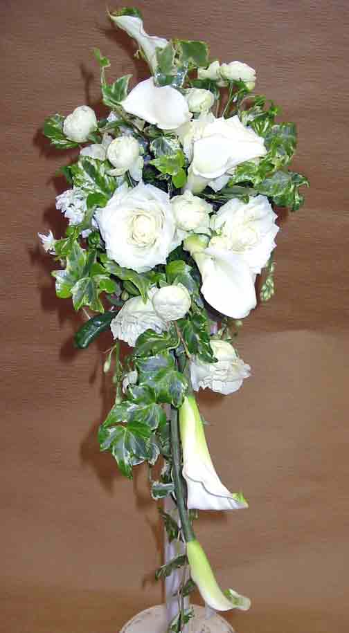 �E�G�f�B���O�u�[�P/�J���[�E�o���L���X�P�[�h�u�[�P