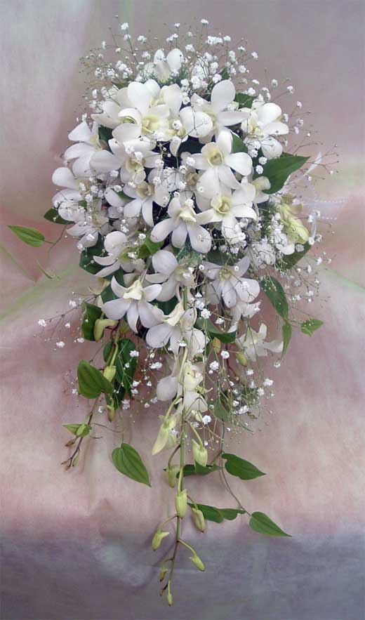 �E�G�f�B���O�u�[�P/�f���t�@���L���X�P�[�h