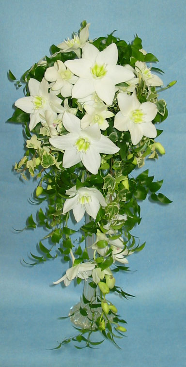 �E�G�f�B���O�u�[�P/���[�`�����X�L���X�P�[�h