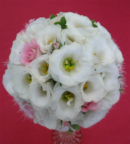 �E�G�f�B���O�u�[�P/�g���R�L�L���E���E���h