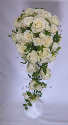 �E�G�f�B���O�u�[�P�@���ԃu�[�P�E���o���L���X�P�[�h�u�[�P