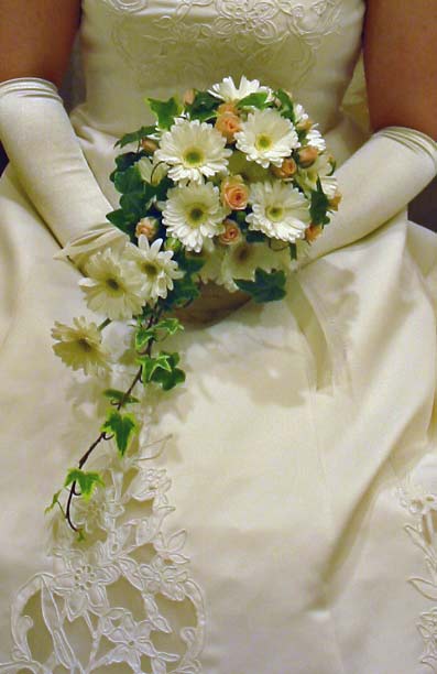 �E�G�f�B���O�u�[�P/�K�[�x���L���X�P�[�h�u�[�P