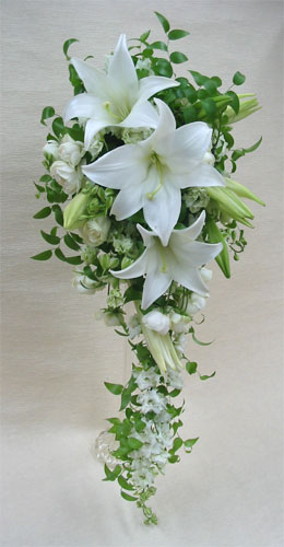 �E�G�f�B���O�@���ԃu�[�P/�S�C�����@�L���X�P�[�h�u�[�P�@