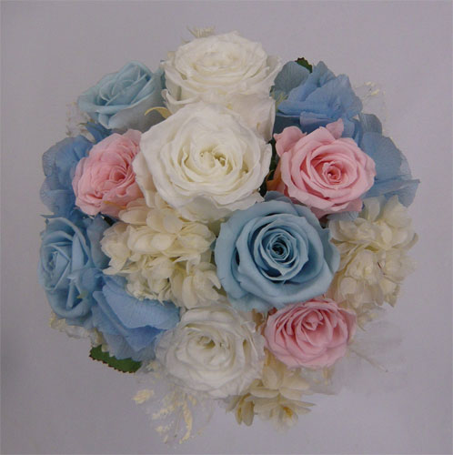 �E�G�f�B���O�@�v���U�[�u�h�t�����[�E�g�X���v���Y�u�[�P/�v���Y�p�~�j�@�����s���N�@�u���[���[�Y