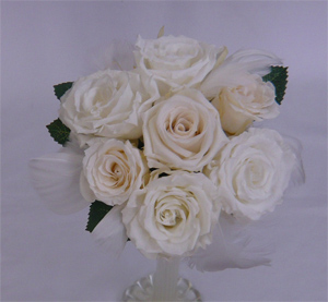 �E�G�f�B���O�@�v���U�[�u�h�t�����[�E�g�X���v���Y�u�[�P/�v���Y�p�~�j�@�z���C�g���A���e�B�[�N�z���C�g