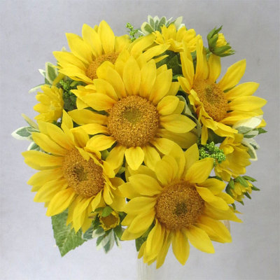 �g�X�u�[�P�@�q�}����