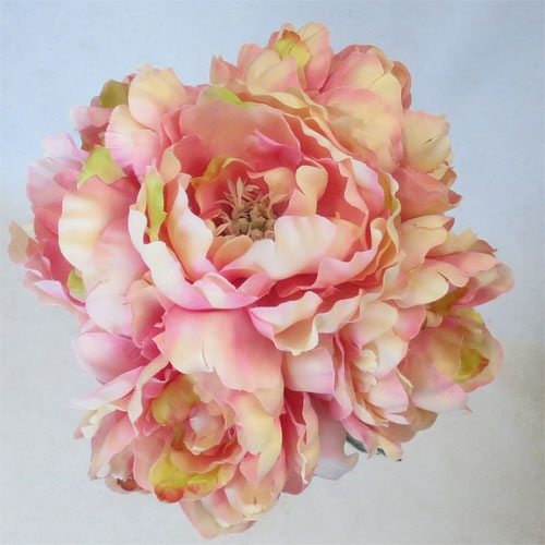 �a���~�j�u�[�P