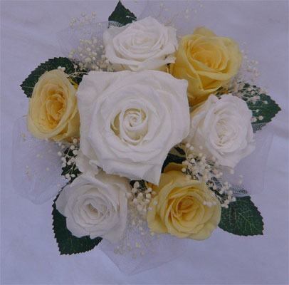 �E�G�f�B���O�@�v���U�[�u�h�t�����[�E�g�X���v���Y�u�[�P/�v���Y�p�~�j�@�����\�t�g�C�G���[�������ݑ�