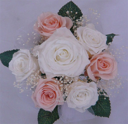 �E�G�f�B���O�@�v���U�[�u�h�t�����[�E�g�X���v���Y�u�[�P/�v���Y�p�~�j�@�����N���[�~�[�s�[�`�������ݑ�