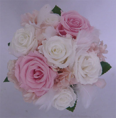 �E�G�f�B���O�@�v���U�[�u�h�t�����[�E�g�X���v���Y�u�[�P/�v���Y�p�~�j�@�����s���N