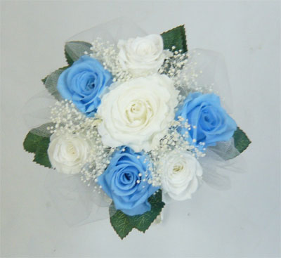 �E�G�f�B���O�@�v���U�[�u�h�t�����[�E�g�X���v���Y�u�[�P/�v���Y�p�~�j�@�������F�@�����ݑ�