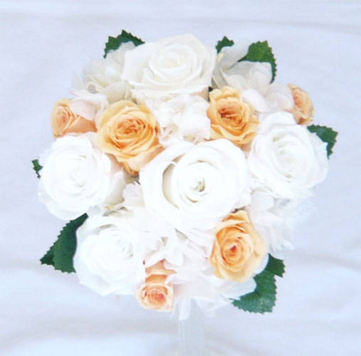 �E�G�f�B���O�@�v���U�[�u�h�t�����[�@�g�X���v���Y�u�[�P/�����I�����W