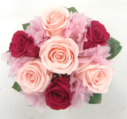 �E�G�f�B���O�@�v���U�[�u�h�t�����[�@�g�X���v���Y�u�[�P/�s���N���Z���s���N