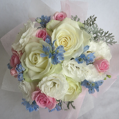 �g�X�u�[�P