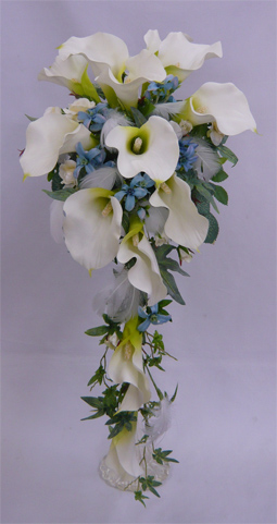 �E�G�f�C���O���ԃu�[�P�^�J���[�L���X�P�[�h�u�[�P�i�u���[�X�^�[����j