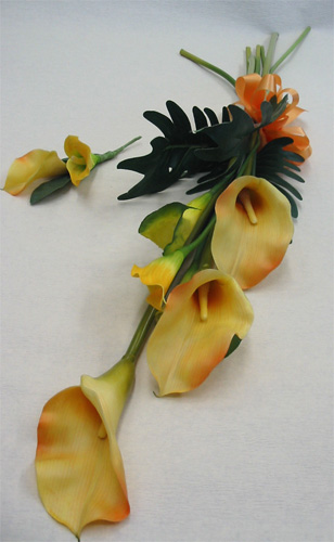 �J���[�̃N���b�`�@���ԃu�[�P