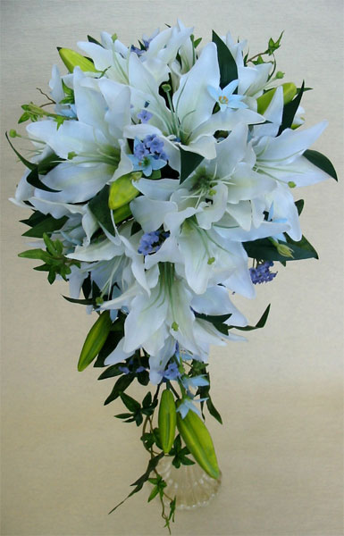 ���ԁE�A�[�g�t�����[�u�[�P�E�����L���X�P�[�h