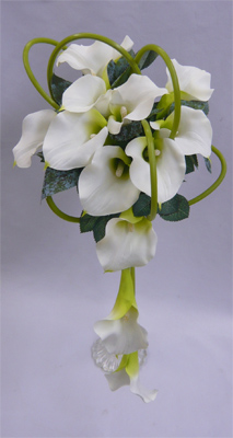 �A�[�g�t�����[�u�[�P/�J���[�L���X�P�[�h�u�[�P