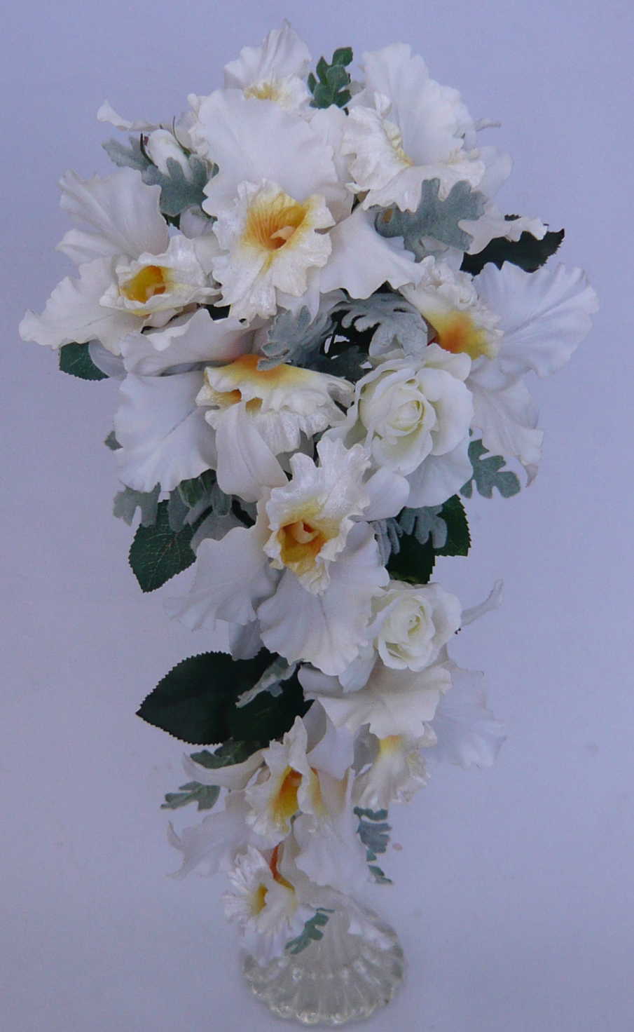 �A�[�g�t�����[�u�[�P/�J�g���A�@�L���X�P�[�h