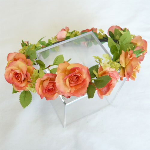 �Ԃ���ނ�@�I�����W