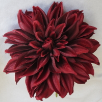 ���ԁ@�w�b�h�h���X�@�_���A�@���C��