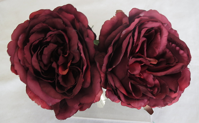 �w�b�h�h���X�@�w�A�[�I�[�i�����g