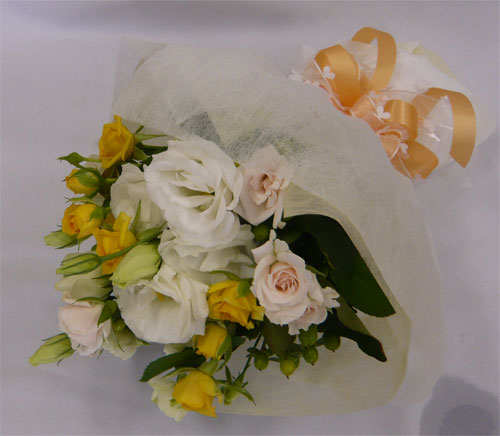 ����ԁ@���ԉԑ��@�q���ԑ�/������