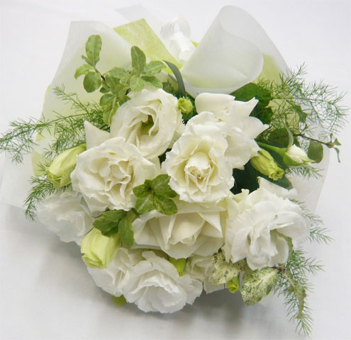 ����ԁ@���ԉԑ�/�q���ԑ��@�z���C�g