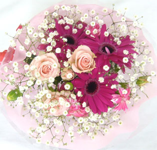 ����ԁ@���ԉԑ��@�q���ԑ�/�s���N