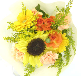 ����ԁ@���ԉԑ��@�q���ԑ�/���F