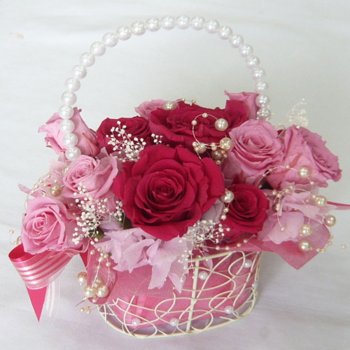 ����ԁ@�v���U�[�u�h�t�����[/�v�����Z�X�s���N�@�p�[���o�b�N