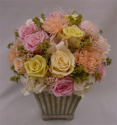 ����ԁ@�v���U�[�u�h�t�����[/�t�H���e�[�k�@�p�X�e��