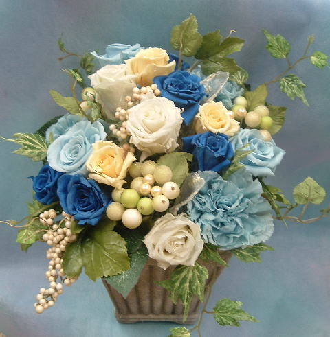 ����ԁ@�v���U�[�u�h�t�����[/�u���[�u���[