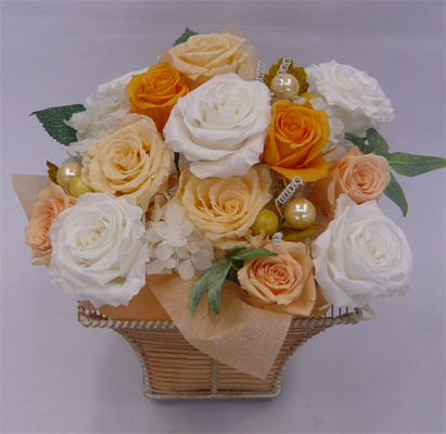 ����ԁ@�v���U�[�u�h�t�����[/�z���C�g�R�C���@�I�����W