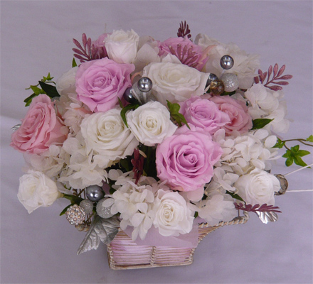 ����ԁ@�v���U�[�u�h�t�����[/�z���C�g�R�C���@�y�[���s���N