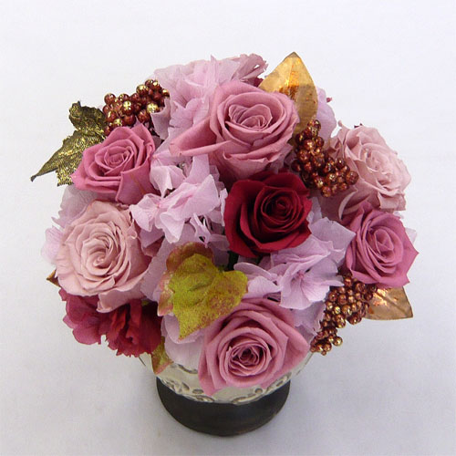 ����ԁ@�v���U�[�u�h�t�����[/�N���b�V�b�N�x�[�X�i�s���N�j