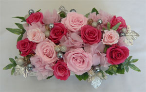 ����ԁ@�v���U�[�u�h�t�����[/�s���N���s���N