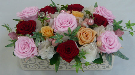 ����ԁ@�v���U�[�u�h�t�����[/�A���x�X�N�@�J���t��