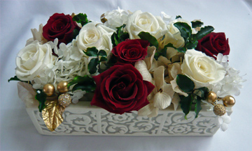 ����ԁ@�v���U�[�u�h�t�����[/�}�_�����C��