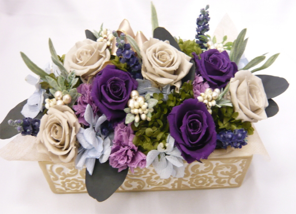 ����ԁ@�v���U�[�u�h�t�����[/�A���x�X�N�@�}�_���r�I��