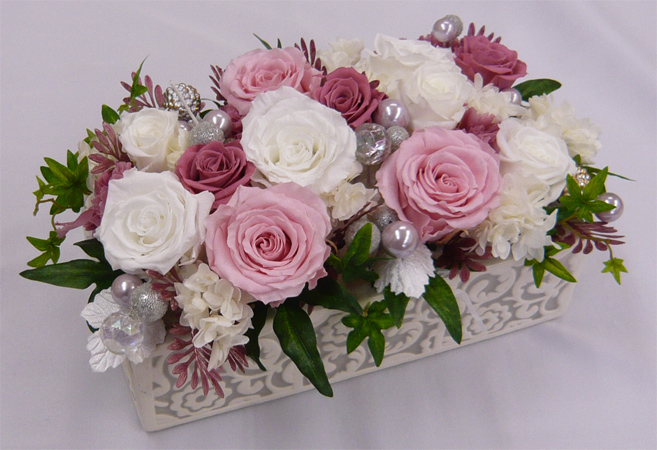 ����ԁ@�v���U�[�u�h�t�����[/�A���x�X�N�@�u���C�_���s���N