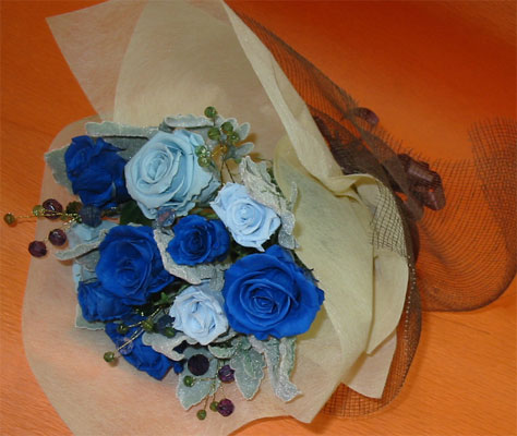 ����ԁ@�v���U�[�u�h�t�����[/�u���[�ԑ�