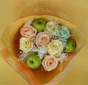 ����ԁ@�v���U�[�u�h�t�����[/�V���[�x�b�g�J���[�@�ԑ�