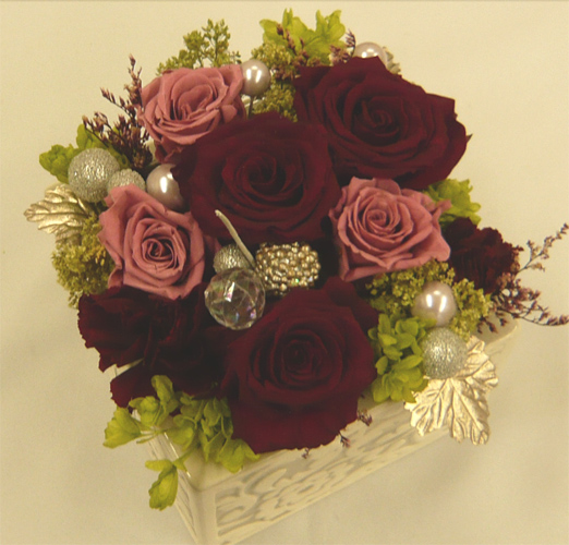 ����ԁ@�v���U�[�u�h�t�����[/�A���x�X�N�@���I���b�h