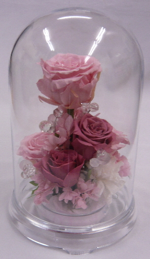 ����ԁ@�v���U�[�u�h�t�����[/�h�[���t�����[L�@���C�g�s���N