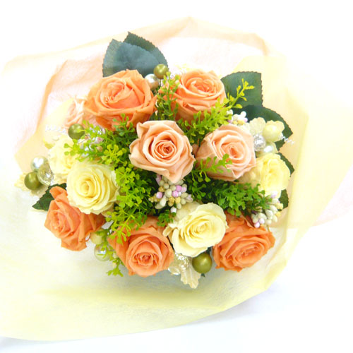 ����ԁ@�v���U�[�u�h�t�����[/�I�����W�ԑ�